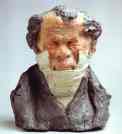 Honore Daumier. Jean-Ponce-Guillaume Viennet (1777-1868), Deputy, Peer of France and Academician.