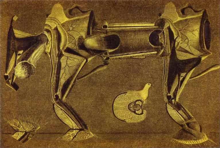 Max Ernst. Un peu malade le cheval patte pelu.