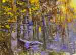 The Forest.