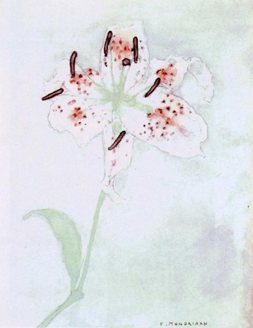 Piet Mondrian. Lily / Lelie.