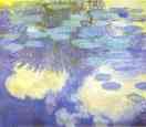 Water-Lilies.