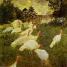 White Turkeys.