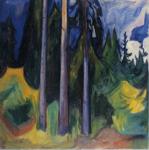 Forest.
