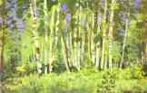 Anna Ostroumova-Lebedeva. Birch Grove.
