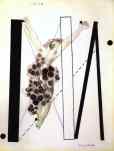 Francis Picabia. L'aile.