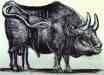 The Bull. State III.