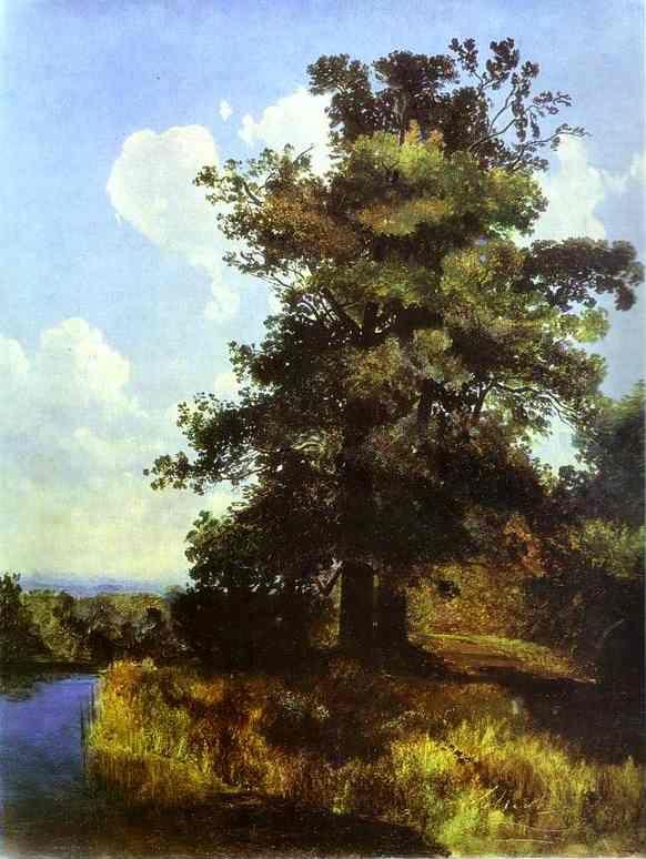 Alexey Savrasov. Oaks.