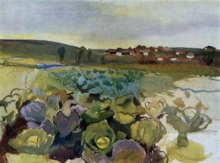 Cabbage Field. Village of Neskuchnoye.