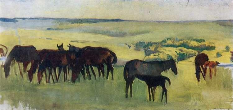 A Herd.