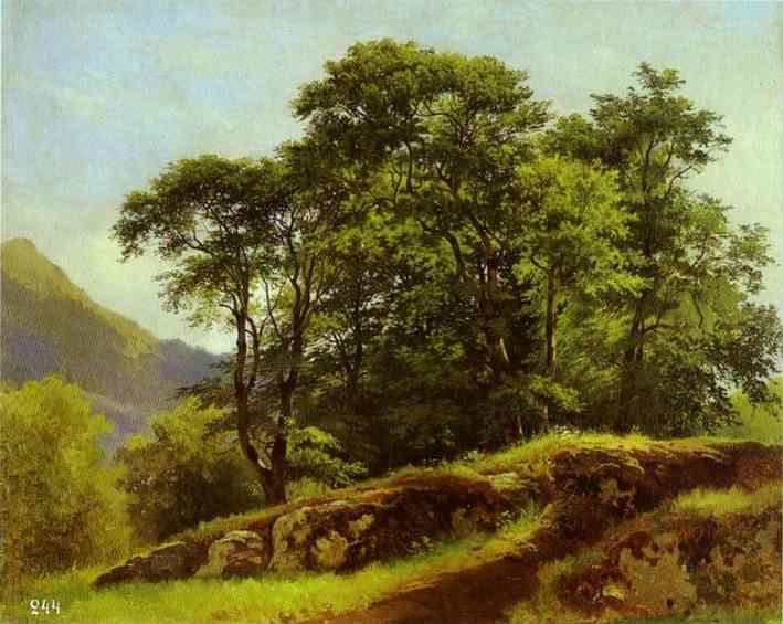 Ivan Shishkin. Beech Forest in Switzerland.