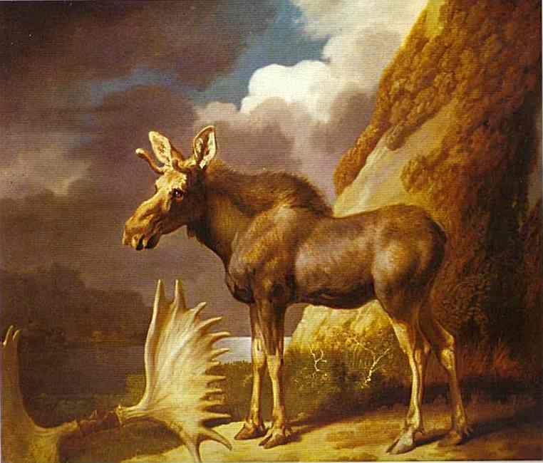 George Stubbs. The Moose.