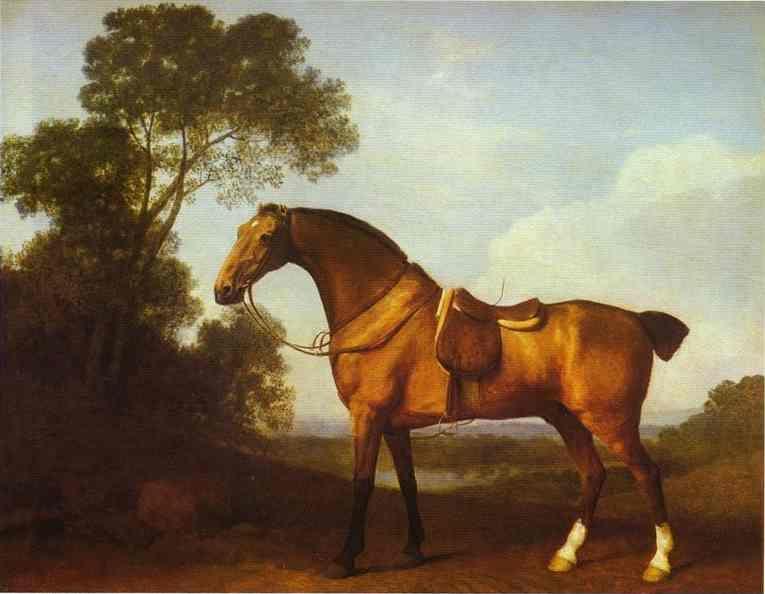 George Stubbs. A Saddled Bay Hunter.