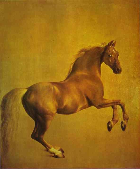 George Stubbs. Whistlejacket.