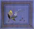 Count Feodor Tolstoy. Flower, Butterfly and Flies.