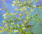 Vincent van Gogh. Branches of Almond tree in Bloom. Saint-Rémy.
